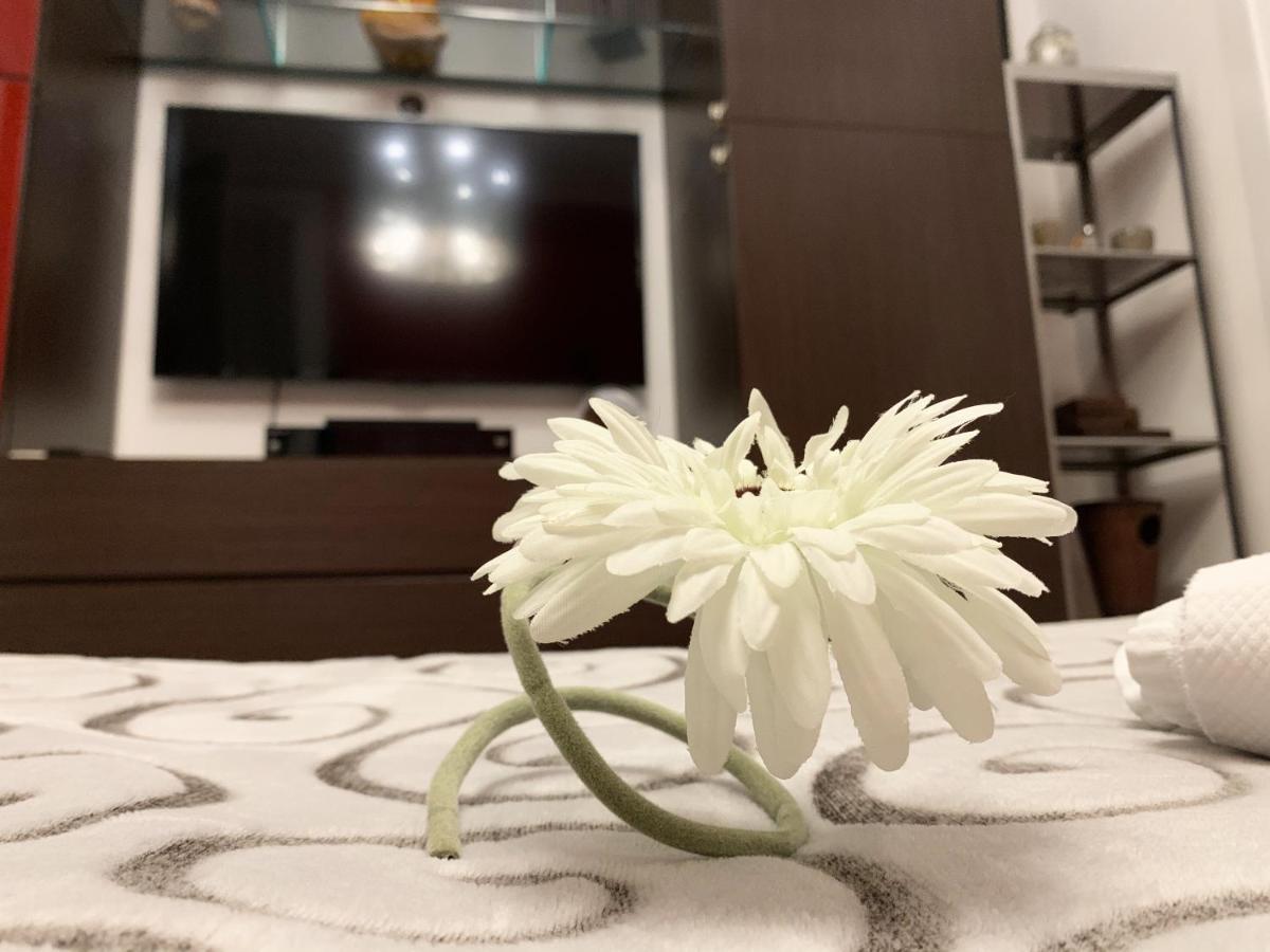 Sansiro47 Bed & Breakfast มิลาน ภายนอก รูปภาพ